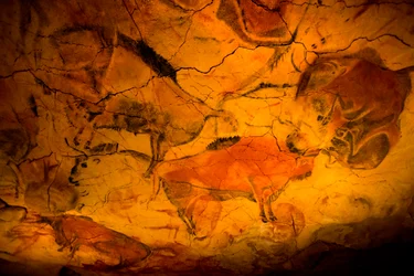 Pittura di bisonti nelle grotte di Altamira, museo del Paleolitico superiore, Santander, Cantabria, Spagna